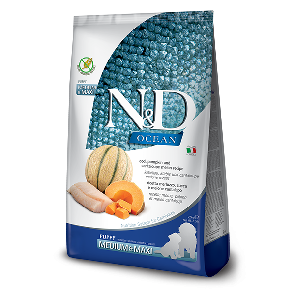N&D QUINOA TAHILSIZ SKIN & COAT RİNGA BALIĞI 7kg
